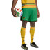 adidas Jamaica Thuis Tenue 2026/2028 9