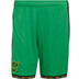 adidas Jamaica Thuis Tenue 2026/2028 15