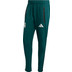adidas Mexico Tiro Travel Trainingspak WK 2026 10
