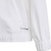 adidas Entrada 26 Presentatie Jacket Kids 4