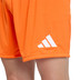 adidas Entrada 26 Training Short
