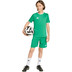 adidas Entrada 26 Training Short Kids
