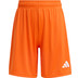 adidas Entrada 26 Training Short Kids 3