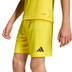 adidas Entrada 26 Training Short Kids 6