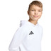adidas Entrada 26 Kapuzenpullover Kinder 5