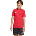 adidas Entrada 26 T-shirt Barn 1