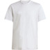 adidas Entrada 26 T-shirt Barn 3