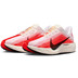 Nike Pegasus Plus Men 6