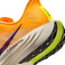 Nike Pegasus Plus Men 6