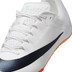 Nike Rival Sprint 10