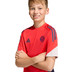 adidas Bayern München Training Shirt Kids