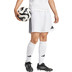 adidas Tastigo 25 Training Short