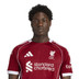 adidas Liverpool Authentic Home Kit Salah 11