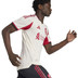 adidas Liverpool Authentic Away Kit Gravenberch