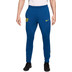 Nike FC Barcelona Strike Pants 2025/2026 1