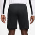 Nike Academy Short