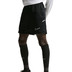 Nike Academy Short 5