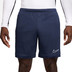 Nike Academy Short