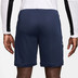 Nike Academy Short