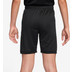 Nike Academy Short Kids