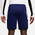 Nike Academy Short 2