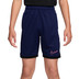 Nike Academy Short Kids 1