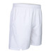 Indian Maharadja Swift Short Boys 2