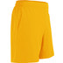 JDH Carbon Pro Shorts Herren 2