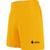 JDH Carbon Pro Shorts Herren 4