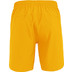 JDH Carbon Pro Shorts Jungen 3
