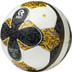 Robey Golden Goal Matchball 1