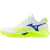 Mizuno Wave Momentum Pro 1