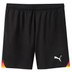 Puma DHB Away Short Men 1