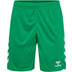 Hummel Core 2.0 Shorts Heren 1
