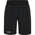 Hummel Blaze 2.0 Training Shorts Kids 1