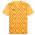 Puma GLORY Keepersshirt 1