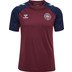 Hummel Dänemark Pro Training Shirt WM 2026 1