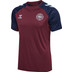 Hummel Dänemark Pro Training Shirt WM 2026 2