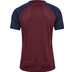 Hummel Dänemark Pro Training Shirt WM 2026 3