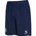 Hummel Dänemark Pro Training Short WM 2026 3