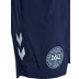 Hummel Dänemark Pro Training Short WM 2026 4
