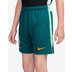 Nike Brazilië Academy Pro Short Kids WK 2026 3