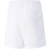 teamRISE Short Jr