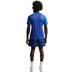 Nike Frankrijk Strike Top WK 2026 2