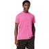 Lacoste Jersey Tennis Tee 1