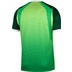 Nike Nigeria Thuis Shirt 2026/2028 4