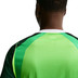 Nike Nigeria Thuis Shirt 2026/2028 7