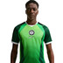 Nike Nigeria Thuis Shirt 2026/2028 8