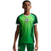 Nike Nigeria Thuis Shirt Kids 2026/2028 1