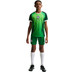 Nike Nigeria Thuis Shirt Kids 2026/2028 8